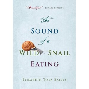 The Sound of a Wild Snail Eating