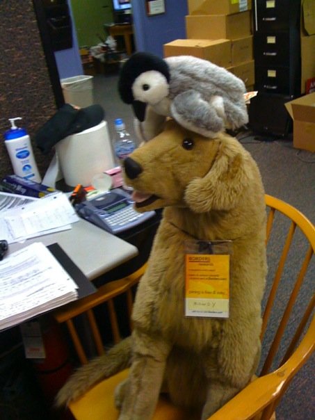 Penguin on Rowdy Penguin on Rowdy