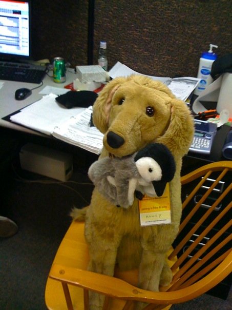 Rowdy eating penguin puppet Rowdy eating penguin puppet